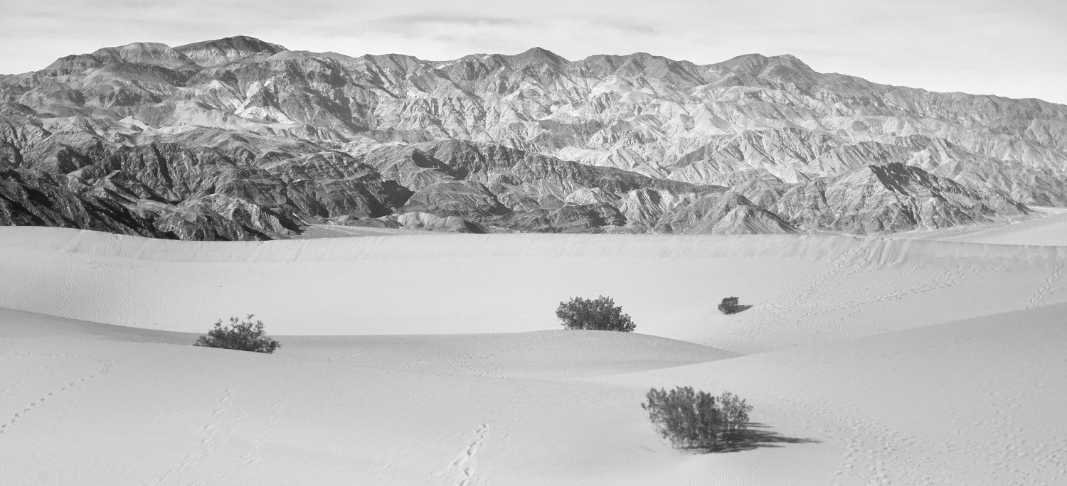 Mesquite Dunes, Death Valley, CA.
